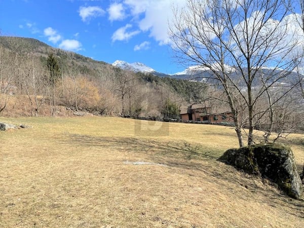 AMPIO E SOLEGGIATO CON PROGETTO APPROVATO 2