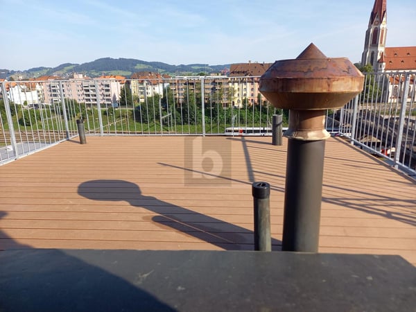 IDYLISCHER ALTBAU MIT GROSSER DACHTERRASSE 1