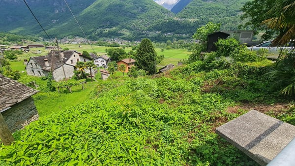 EDIFICABILE IN POSIZIONE SOLEGGIATA E CON VISTA APERTA 3
