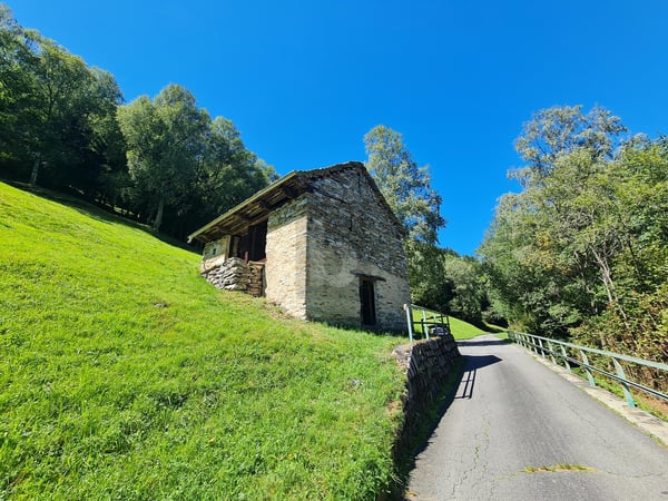 CON VISTA TRA SOLE E NATURA 2