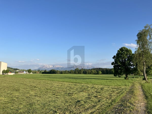 GROSSZÜGIGER NEUBAU MIT AUSREICHEND PARKPLÄTZEN 3