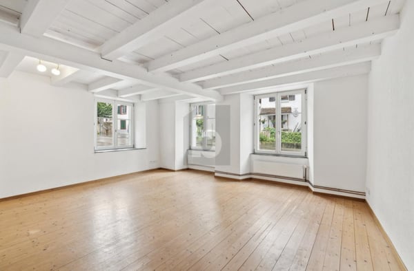 DACHSTOCK AUSBAUBAR, VOLL VERMIETET & TOP RENDITE! 3