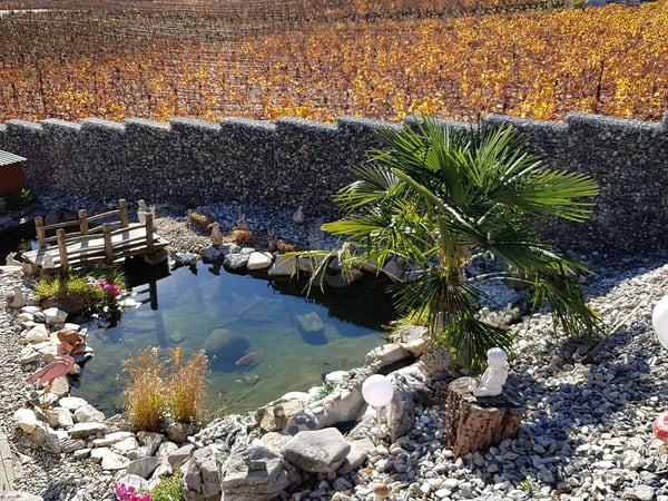 UNIQUE DANS UN CADRE IDYLLIQUE ! 4