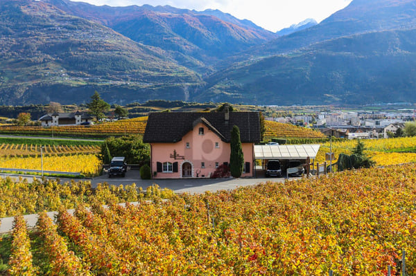 UNIQUE DANS UN CADRE IDYLLIQUE ! 1