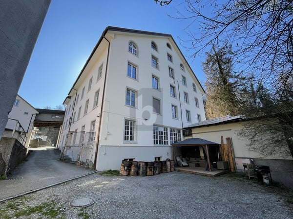 EINMALIGE GELEGENHEIT FÜR INVESTOREN 4