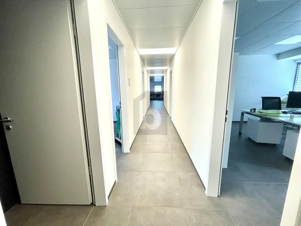 NUOVO STABILE ARTIGIANALE/COMMERCIALE 3