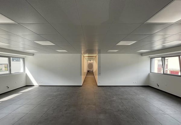 NUOVO STABILE ARTIGIANALE/COMMERCIALE 5