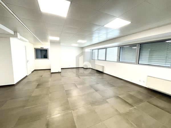 NUOVO STABILE ARTIGIANALE/COMMERCIALE 1