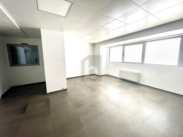 NUOVO STABILE ARTIGIANALE/COMMERCIALE 4