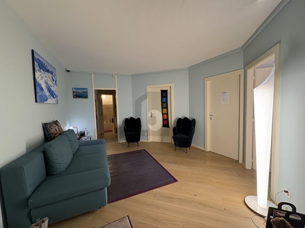 AU COEUR DES EAUX-VIVES ENTIEREMENT RENOVE 3