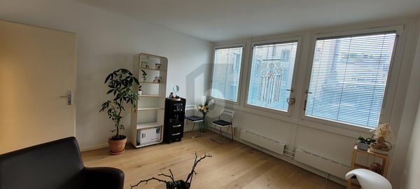 AU COEUR DES EAUX-VIVES ENTIEREMENT RENOVE 5