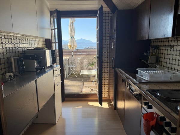 MAGNIFIQUE ATTIQUE MEUBLÉ, ENTRE LAC ET GARE ! 5