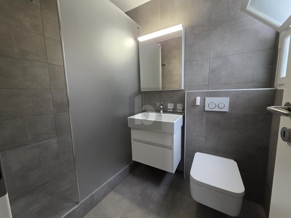 ENTIÈREMENT RÉNOVÉ, DERNIER ÉTAGE AVEC BALCON 5