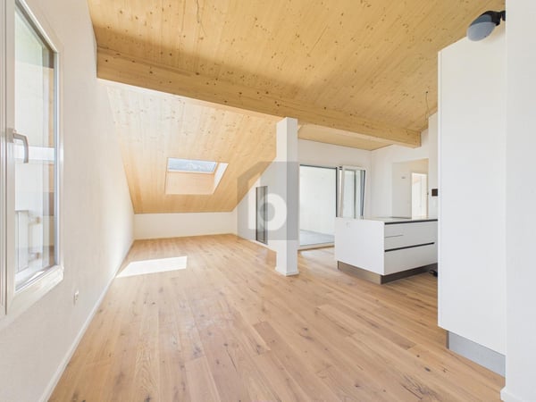 NEUBAU AM WERDENBERGER SEE (B301) 5