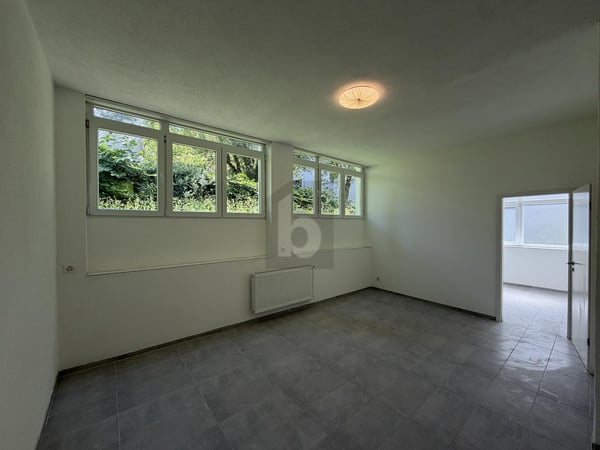 Preview image of the real estate