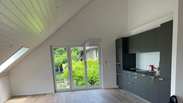 APPARTEMENT MANSARDÉ CHALEUREUX ET LUMINEUX 2