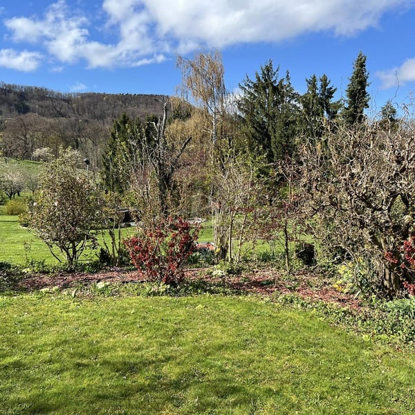 FAMILIENFREUNDLICH MIT SONNIGEM GARTEN! 5