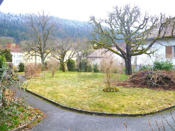 TERRAIN CONSTRUCTIBLE AVEC POTENTIEL INVESTISSEUR 1