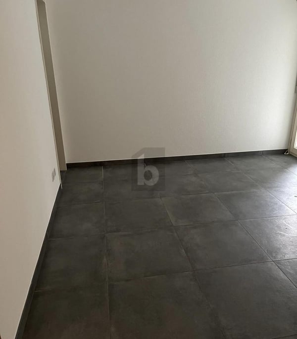 SPAZIOSA CON GIARDINO 5