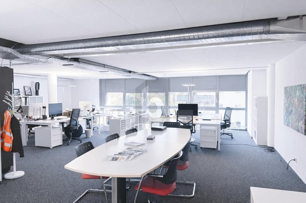MODERNE, LUMINEUX ET IDÉALEMENT SITUÉ 3
