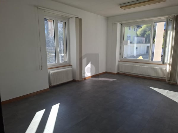 LUMINEUX, SPACIEUX, BIEN PLACÉ 2