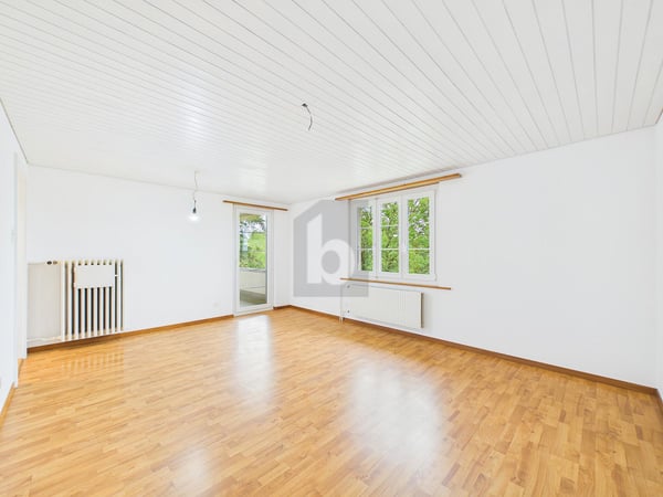 SONNIGER BALKON MIT BLICK INS GRÜNE 3