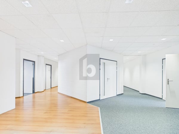 IDEAL FÜR START-UPS 2