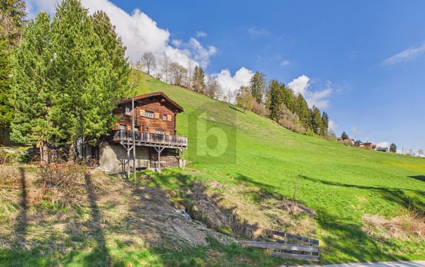 BERG-IDYLLE AM HEINZENBERG 1