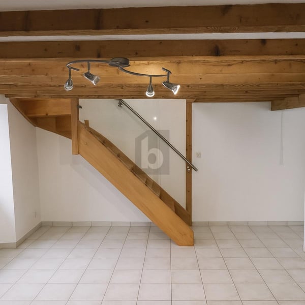 IMMEUBLE DE RENDEMENT À 4% AU VIEUX VILLAGE 4