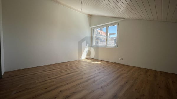 NEUBAU MIT WEITBLICK 5