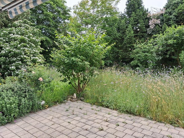 RUHIG MIT GEMÜTLICHEM SITZPLATZ 5