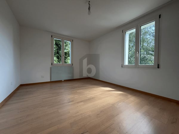 RUHIGE LAGE, SONNIGER BALKON, BLICK AUF RIGI 4