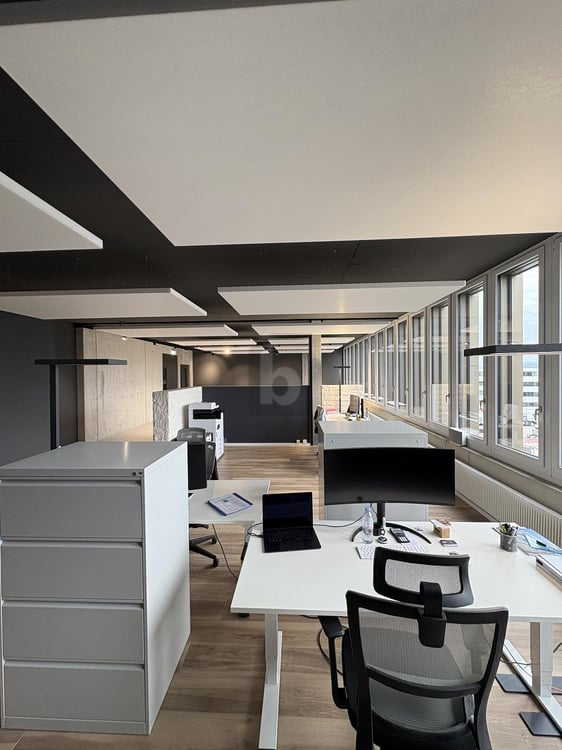 MODERNE BÜROS IM WACHSENDEN GEWERBEZENTRUM 4