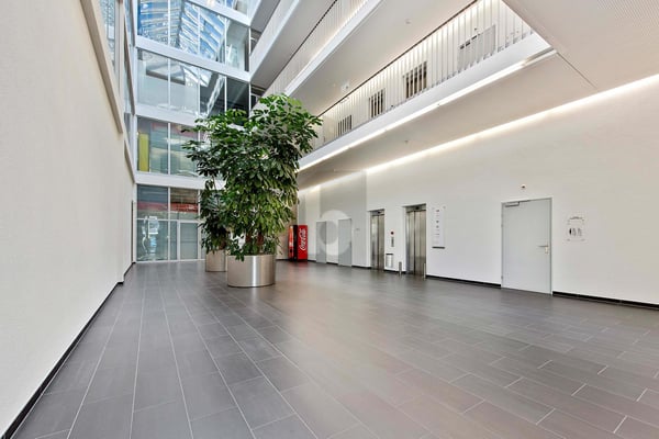 RIESIGE PRODUKTIONSHALLE IDEAL FÜR IHR BUSINESS 3