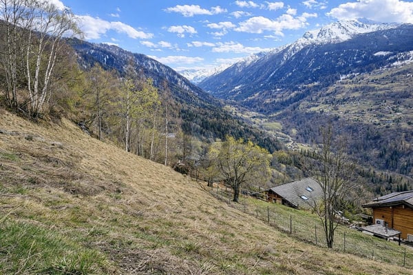 BELLE PARCELLE À BÂTIR 4