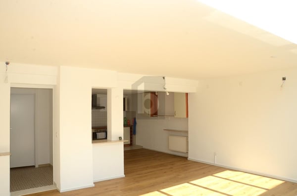 SPACIEUX ET LUMINEUX 2