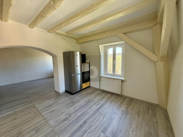 SPACIEUX AU DERNIER ÉTAGE DU MANOIR AVEC JARDIN 4