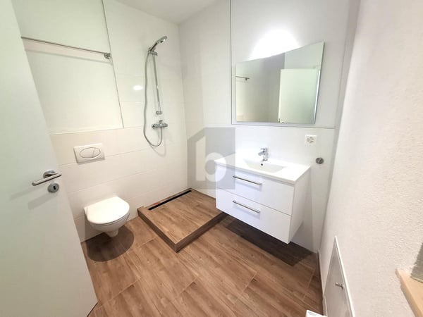 DANS LE JURA, COSY, MODERNE 4