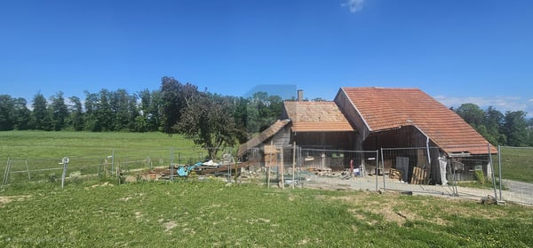 Lovens