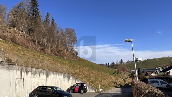 NEUE HAUSHÄLFTE MIT MITGESTALTUNGSMÖGLICHKEIT 2