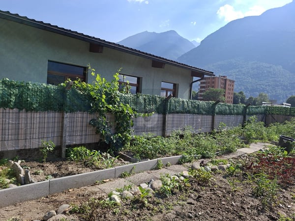 SOLEGGIATO E TRANQUILLO 3