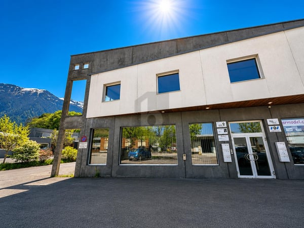 LUMINEUX, MODULABLE, FORT POTENTIEL 1