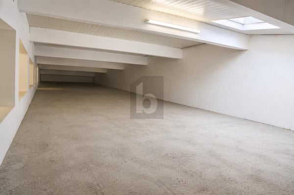 LUMINEUX, MODULABLE, FORT POTENTIEL 5