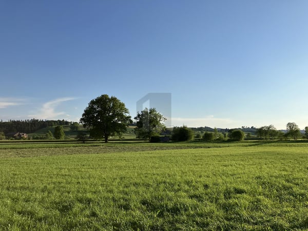 FLEXIBLER NEUBAU FÜR IDUVIDUELLE BEDÜRFNISSE 3