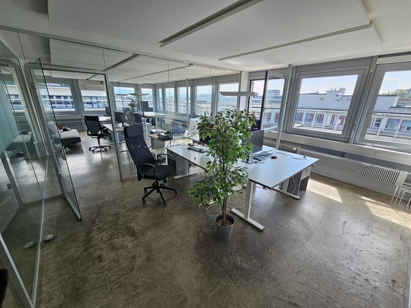 MODERN MIT VIEL LICHT UND RAUM 3