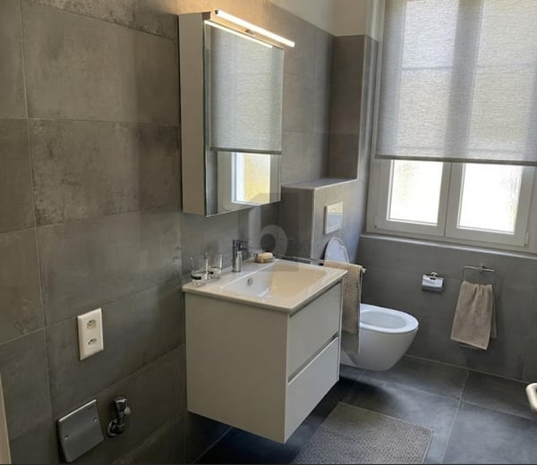 RÉNOVÉ, SPACIEUX ET LUMINEUX 5