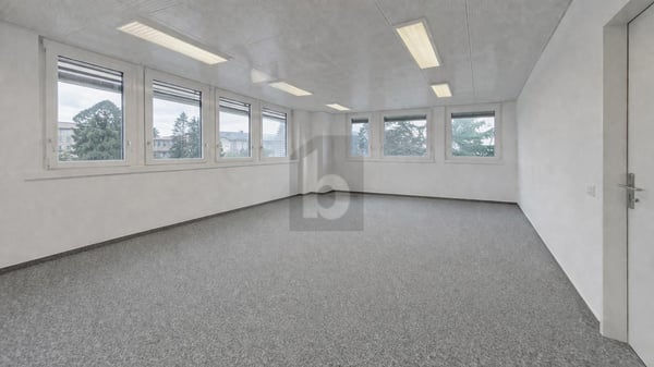 SURFACE LUMINEUSE DANS UN ENVIRONNEMENT CALME 1
