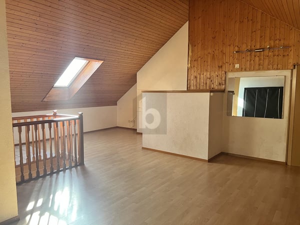 MAGNIFIQUE DUPLEX ATYPIQUE ET SPACIEUX 2