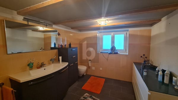TRANQUILLA, SPAZIOSA, CON TERRAZZA 4