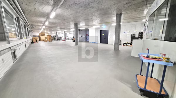GROSSZÜGIG MIT EIGENER EINFAHRT 1